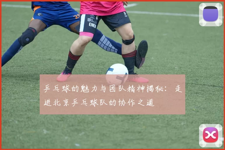 乒乓球的魅力与团队精神揭秘：走进北京乒乓球队的协作之道