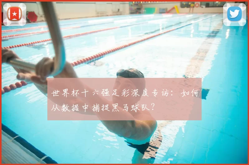 世界杯十六强足彩深度专访：如何从数据中捕捉黑马球队？