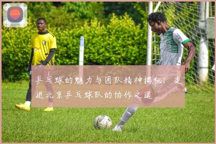 乒乓球的魅力与团队精神揭秘：走进北京乒乓球队的协作之道