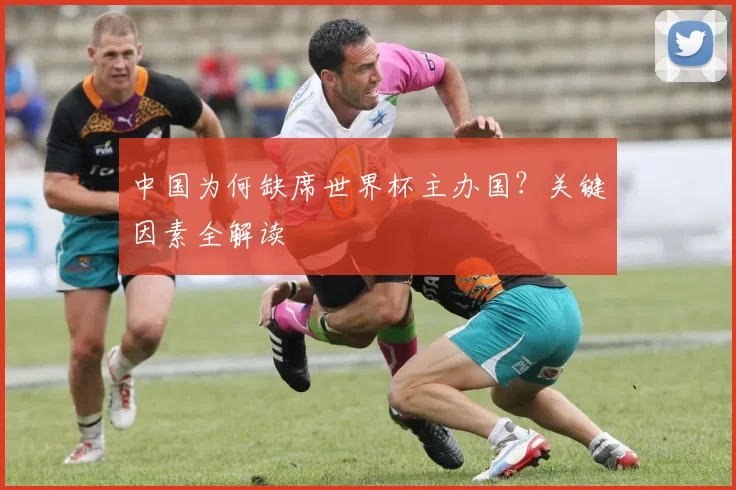 中国为何缺席世界杯主办国？关键因素全解读