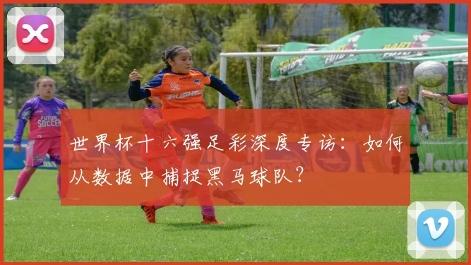 世界杯十六强足彩深度专访：如何从数据中捕捉黑马球队？