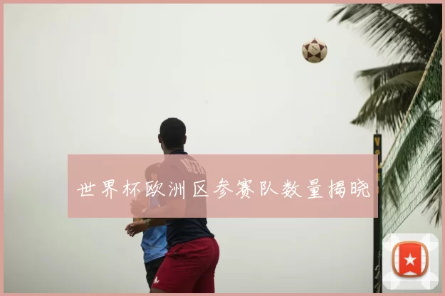世界杯欧洲区参赛队数量揭晓
