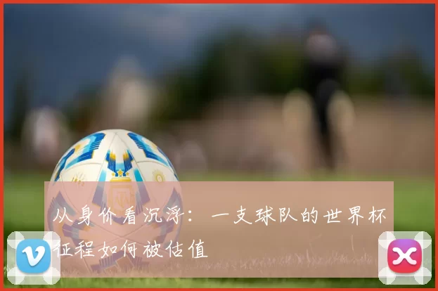 从身价看沉浮：一支球队的世界杯征程如何被估值