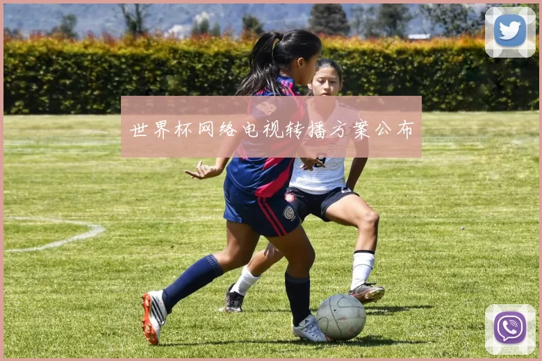 世界杯网络电视转播方案公布