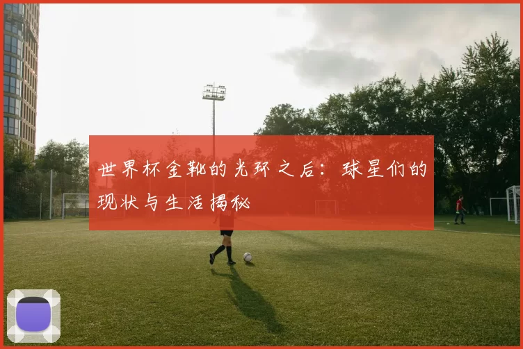 世界杯金靴的光环之后：球星们的现状与生活揭秘