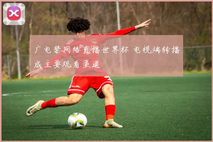 广电禁网络直播世界杯 电视端转播成主要观看渠道