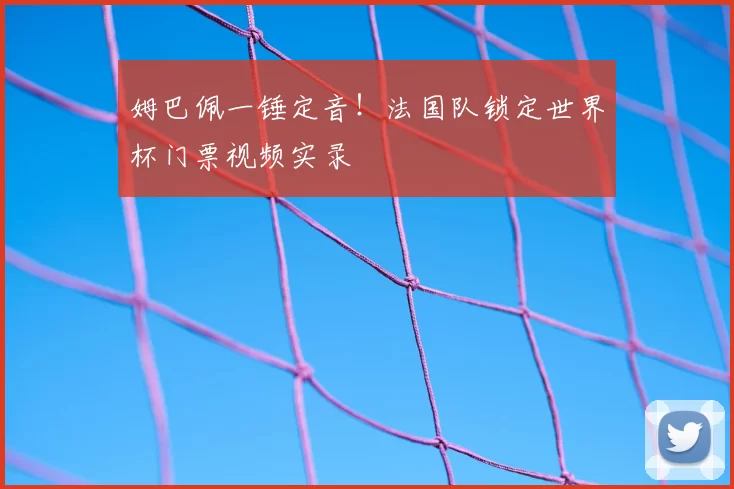 姆巴佩一锤定音！法国队锁定世界杯门票视频实录