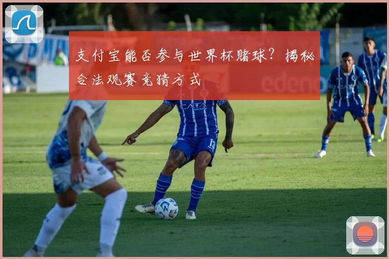 支付宝能否参与世界杯赌球？揭秘合法观赛竞猜方式