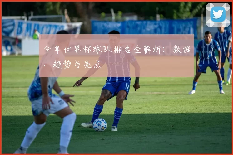 今年世界杯球队排名全解析：数据、趋势与亮点